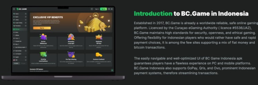 Understanding the Role of Bc.G in Modern Business Strategy 4