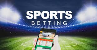 The Future of Online Betting Exploring Meda Bet
