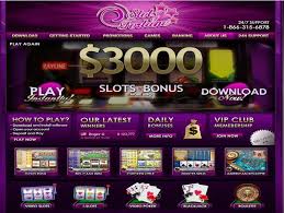 판다포춘 신비로운 판다의 세계에서 행운을 찾다