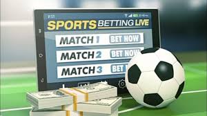 The Exciting World of Habtam Bet Your Ultimate Betting Experience The Exciting World of Habtam Bet Your Ultimate Betting Experience
