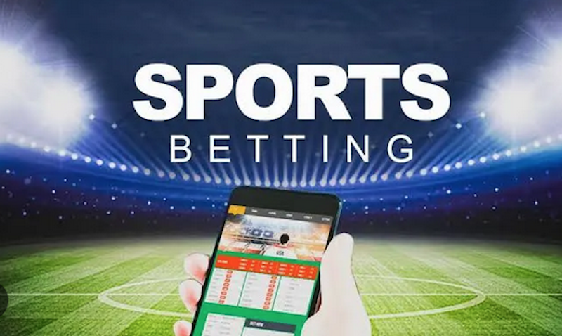 Experience the Excitement of Baji Live Betting Experience the Excitement of Baji Live Betting